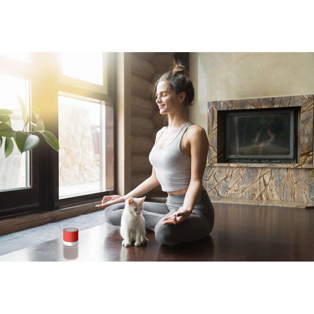 PERRY. Caixa de som com microfone em ABS - Imagem 3