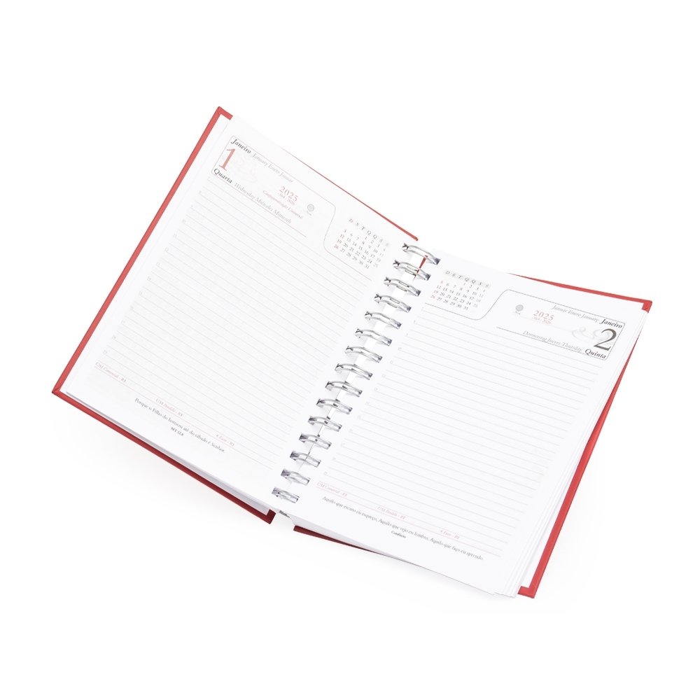 Agenda Diária 2025 Wire-o. - Imagem 5