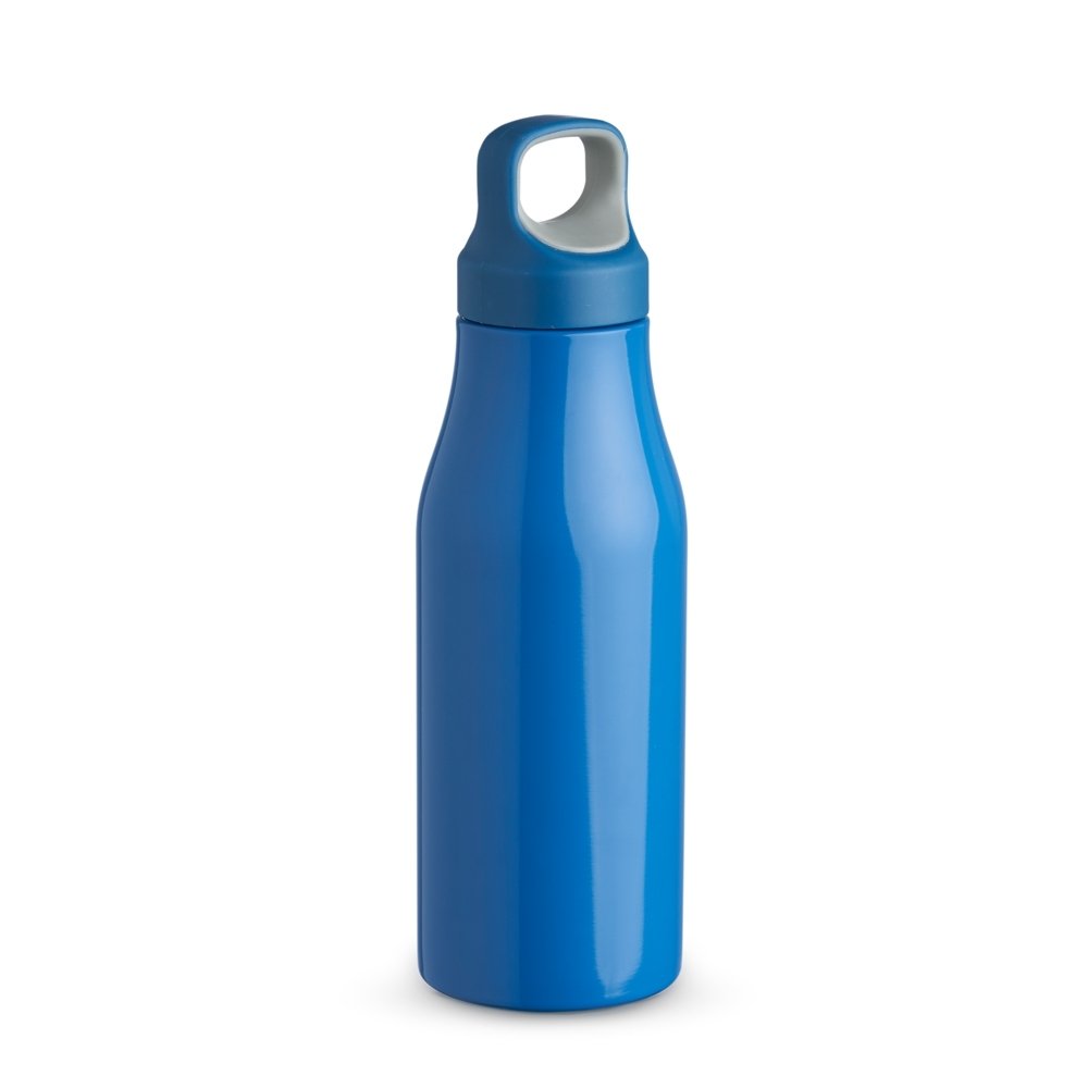 Garrafa Inox 650ml.