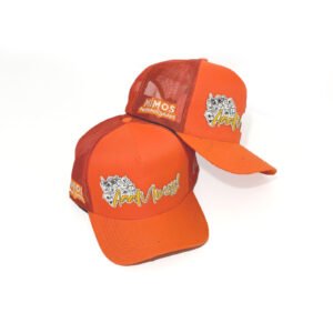 Boné Modelo Trucker